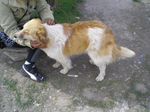 Прикачена снимка