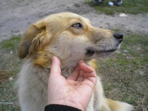 Прикачена снимка