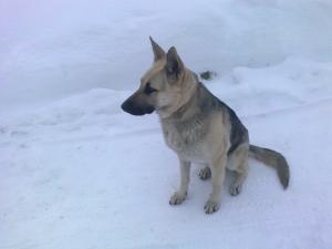 Прикачена снимка
