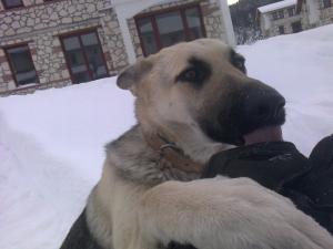 Прикачена снимка