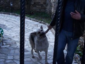 Прикачена снимка