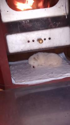 Прикачена снимка