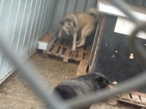 Прикачена снимка