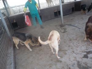Прикачена снимка
