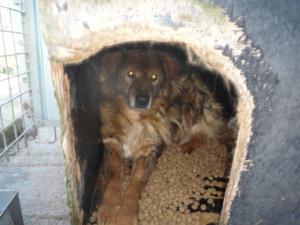 Прикачена снимка