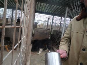 Прикачена снимка
