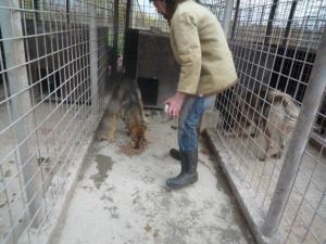 Прикачена снимка