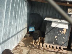 Прикачена снимка