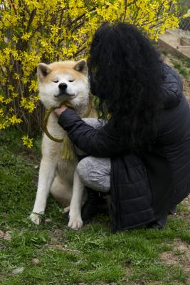 Прикачена снимка