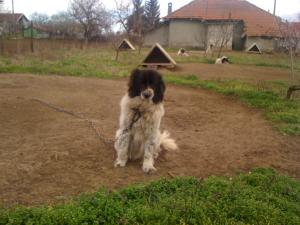 Прикачена снимка