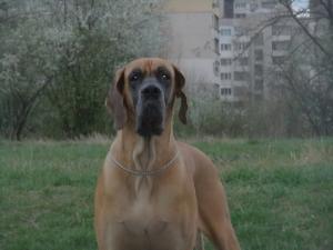 Прикачена снимка