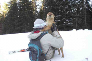 Прикачена снимка