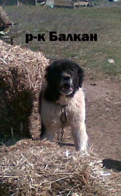 Прикачена снимка