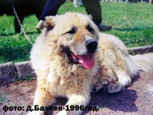 Прикачена снимка