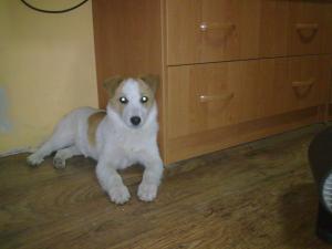Прикачена снимка