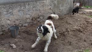 Прикачена снимка