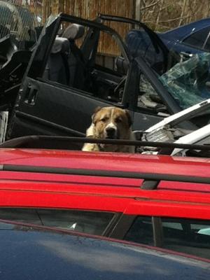 Прикачена снимка