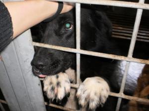 Прикачена снимка