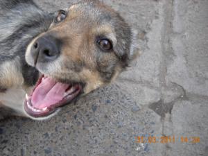Прикачена снимка