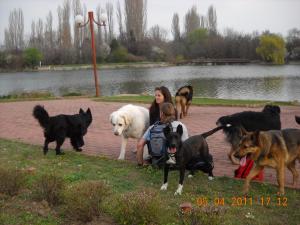 Прикачена снимка