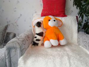 Прикачена снимка