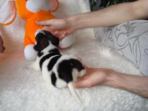 Прикачена снимка