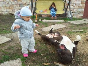 Прикачена снимка