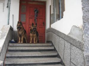 Прикачена снимка