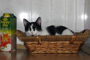 Прикачена снимка