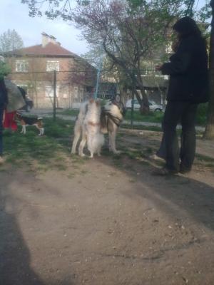 Прикачена снимка