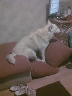 Прикачена снимка