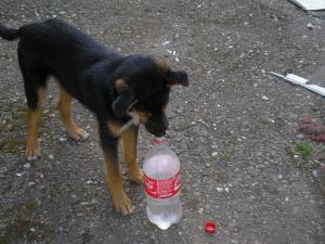 Прикачена снимка