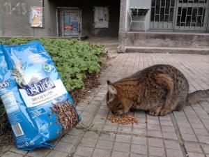 Прикачена снимка