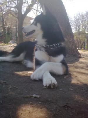 Прикачена снимка