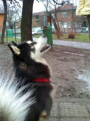 Прикачена снимка