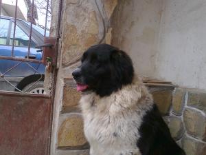 Прикачена снимка