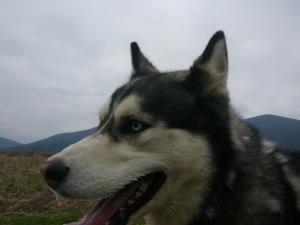 Прикачена снимка