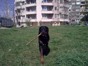 Прикачена снимка