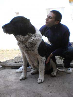 Прикачена снимка