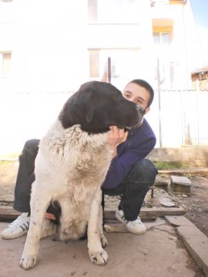 Прикачена снимка