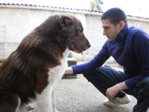 Прикачена снимка