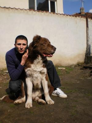 Прикачена снимка