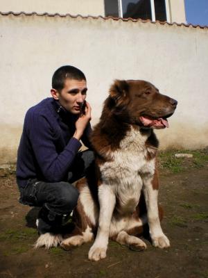Прикачена снимка