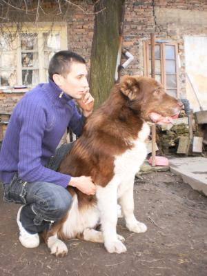 Прикачена снимка