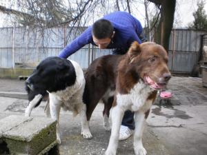 Прикачена снимка