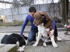 Прикачена снимка