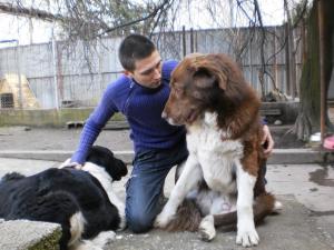 Прикачена снимка