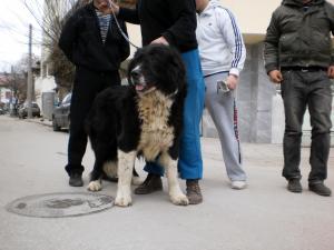 Прикачена снимка