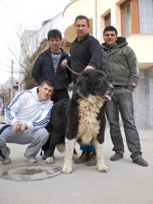 Прикачена снимка
