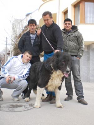 Прикачена снимка
